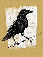 Zeichnung Aaskrähe 2