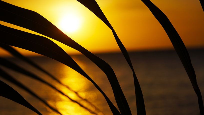 Sonnenuntergang von Melissa vd Bosch