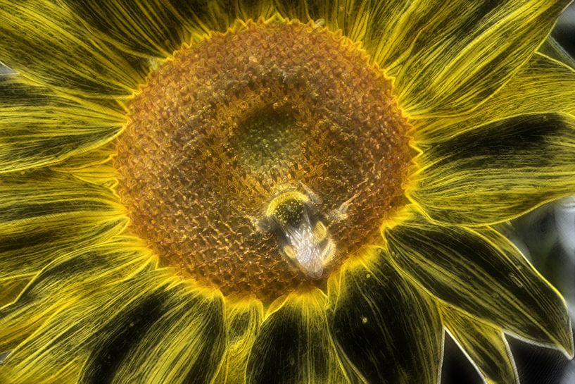 Kristallblume by Edgar Schermaul