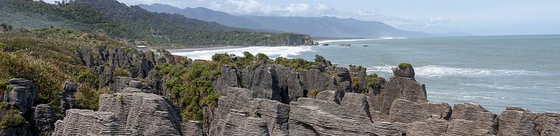 Punakaiki-Pfannkuchen-Felsen von Richard Wareham