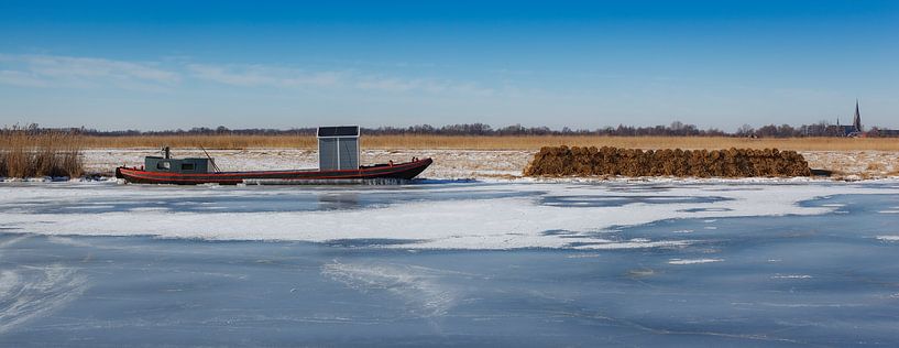 Winterlandschaft von Thijs Friederich