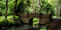 Natuurfoto van een Hollands park met oude bomen, een brug  en slootjes