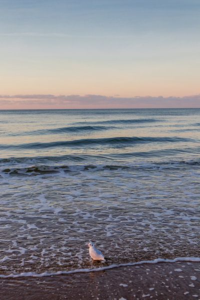 Promenade en soirée sur la promenade de la plage de Mielno par Oliver Hlavaty