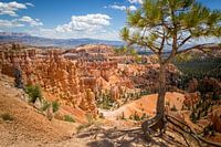 Bryce Canyon National Park
