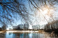 Winter in den Niederlanden , Eisspaß auf dem Eis, Schlittschuhlaufen im Winter