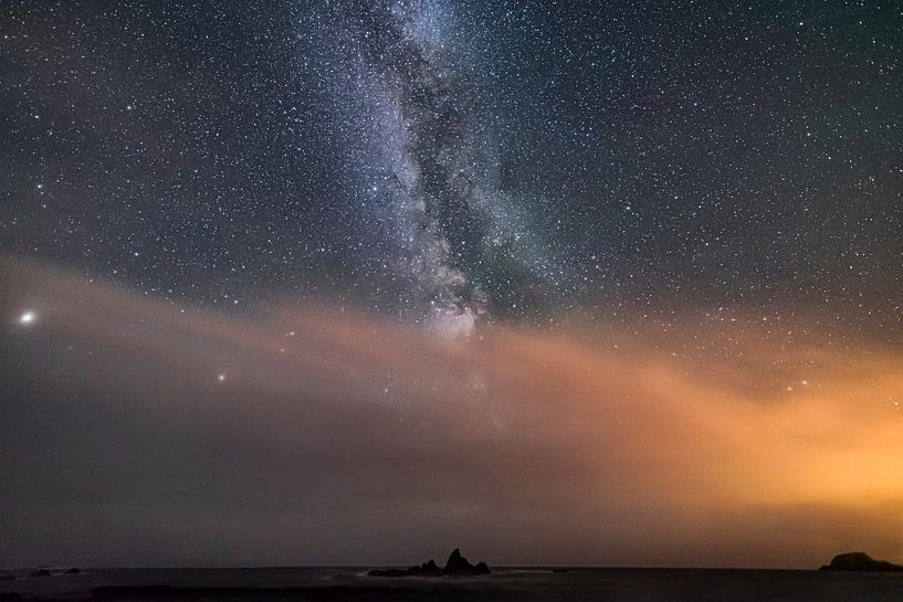 Nachtnebel von Peter Bijsterveld