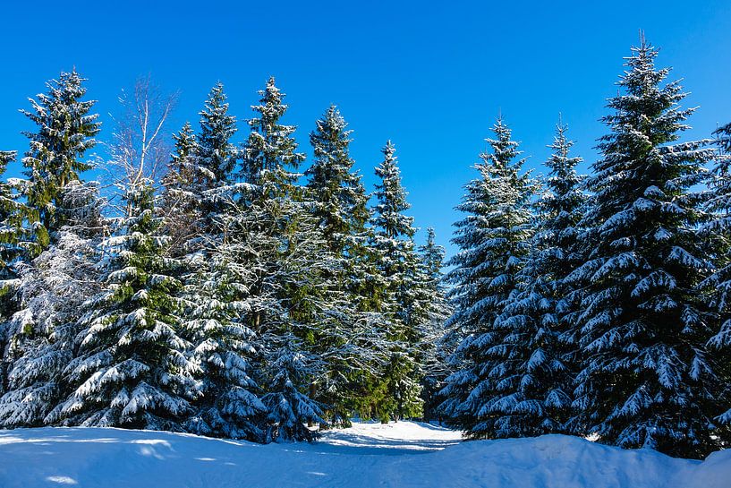 Winter im Riesengebirge bei Benecko, Tschechien von Rico Ködder