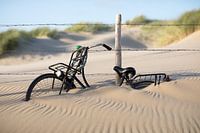 Vélo dans le sable