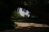 Banister floodplains