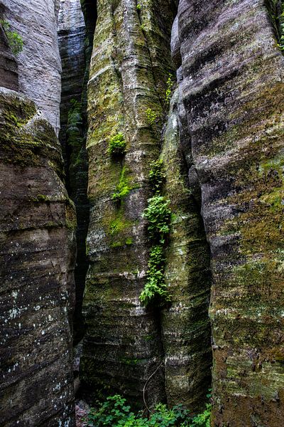 Felsen von Remke Maris