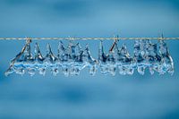 IJS- erwire. ice art.