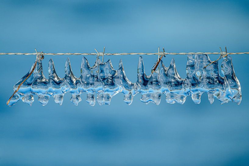 IJS- erwire. ice art. von Alex van den Akker