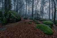 Germany - Black Forest - Günterfelsen