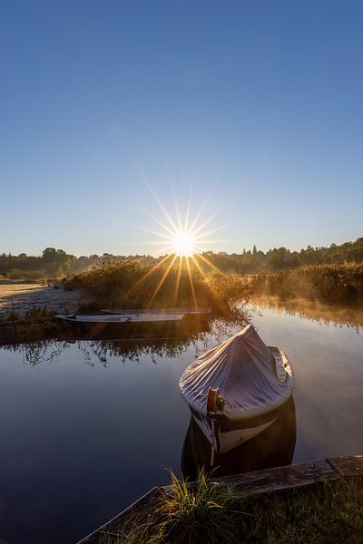 De eerste zonnestralen van Teresa Bauer
