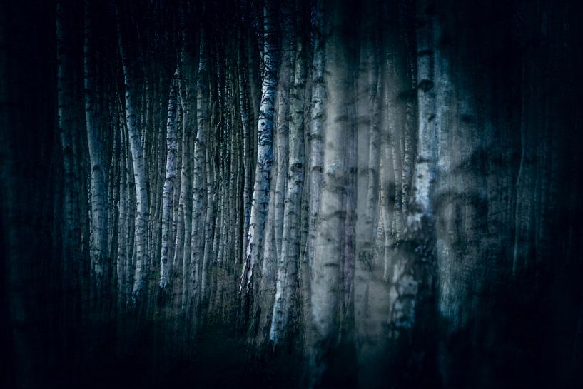 Dunkelheit von Diane Cruysberghs