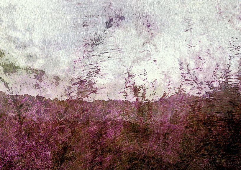 Bruyère pourpre par Anita Snik-Broeken