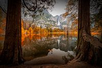 L'automne dans le Yosemite