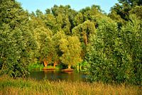 Nature reserve in the forelands near Opheusden
