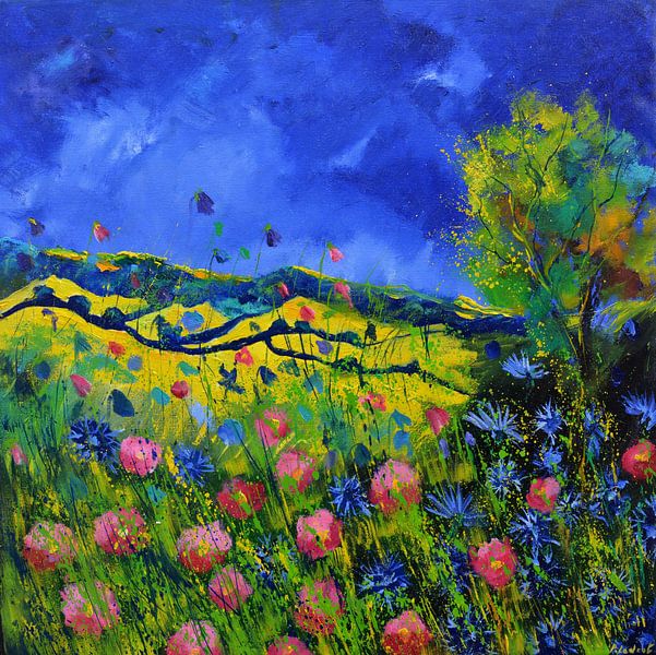 Pink wild flowers by pol ledent