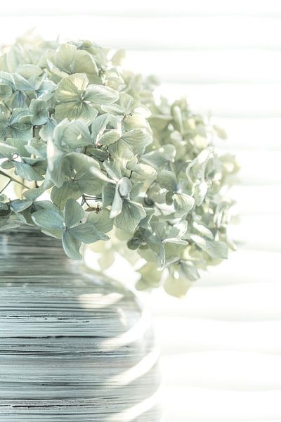 Stilleben mit Blume in Pastelltönen mit Weiß von Lisette Rijkers