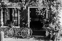 Mauer beherbergt Fahrrad