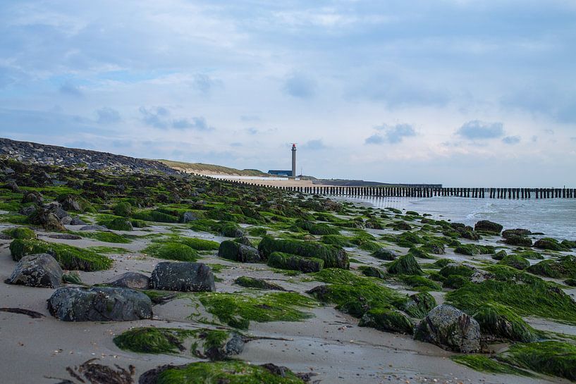 Royal Dutch Lifeboat Institution Westkapelle by MSP Canvas