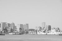 Rotterdam - Willemsbrug en omgeving - in zwart-wit