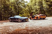 Mercedes GT AMG Roadster vs BMW i8 Roadster