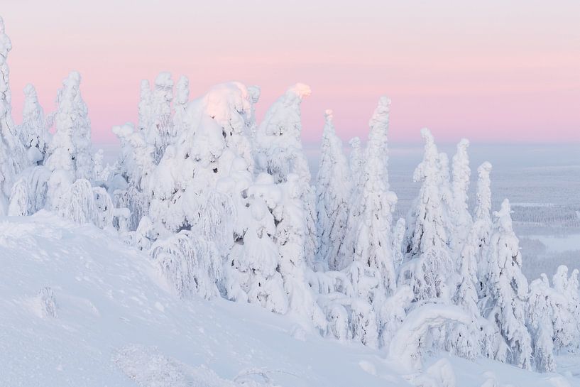 Lever de soleil dans un paysage d'hiver par Menno Schaefer