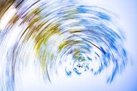 daytrails - groen - boom - zon - abstracte - hedendaagse kunst