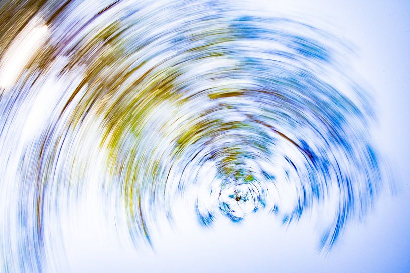 daytrails - groen - boom - zon - abstracte - hedendaagse kunst von Sven Van Santvliet