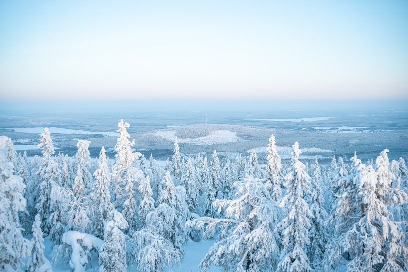 Winterlandschaft mit verschneiten Bäumen von Leo Schindzielorz