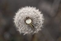 Bereit zum Loslassen