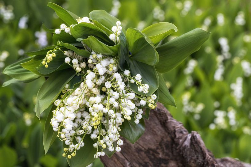 Mother's Day Bouquet by Thomas Herzog