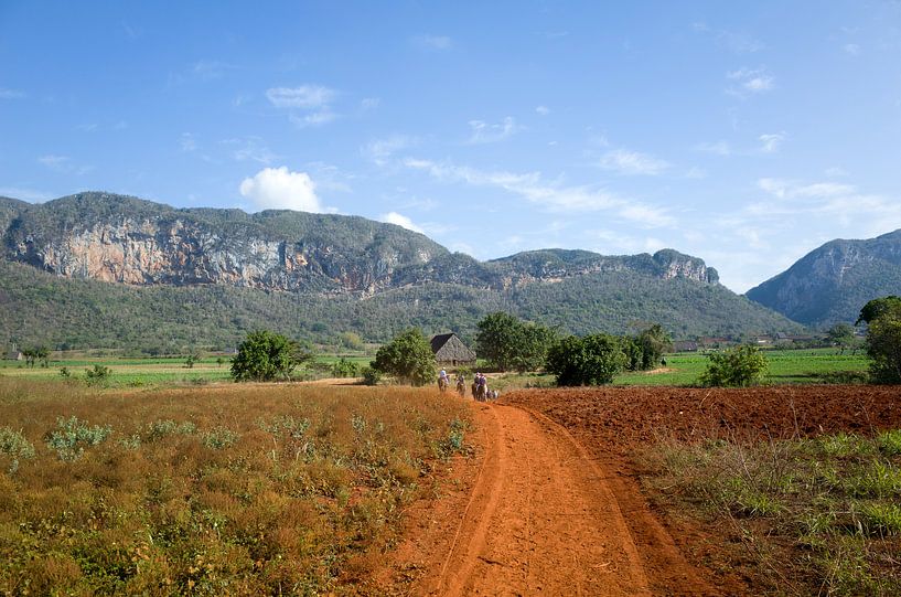 Landschaft in Vinales, Kuba von Kees van Dun