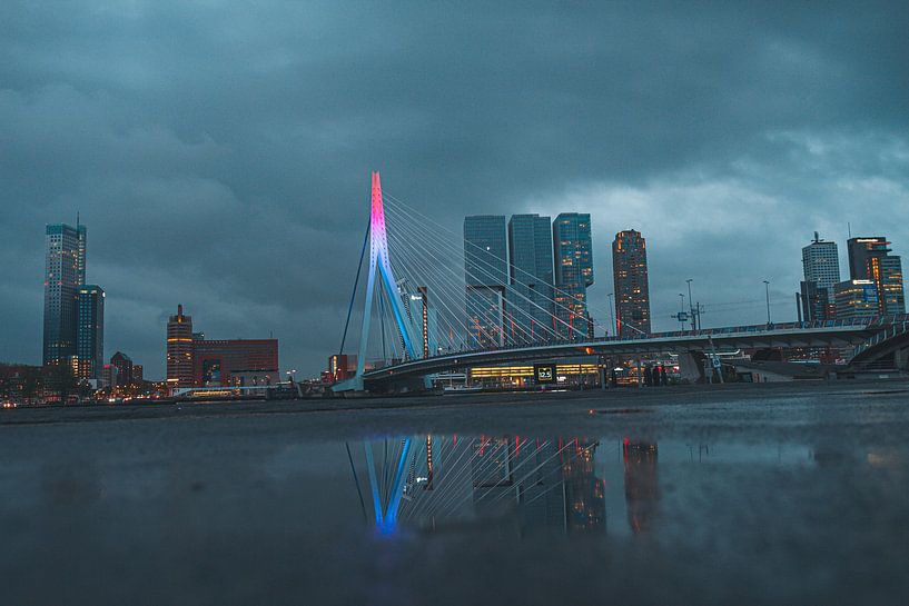 The Erasmus Bridge in Rotterdam by Damian Ruitenga