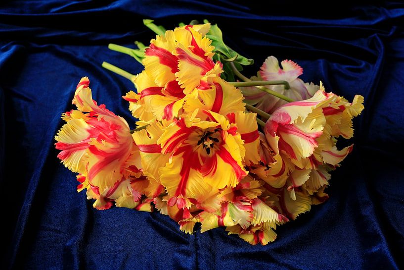 Still life with parrot tulips by Thomas Jäger