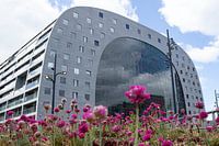 Halle du marché de Rotterdam