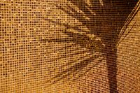 Palmier sur carreaux dorés