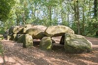 Hunebed, Borger, Drenthe