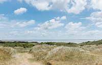 Oerderduinen op Ameland 
