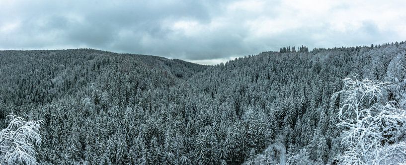 Winter Landschaften von Johnny Flash