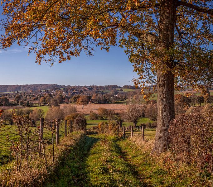 Herbstfarben bei Epen im Südlimburger Hügelland von John Kreukniet