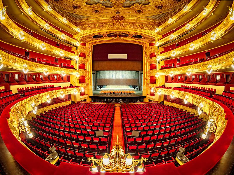 Gran Teatre del Liceu in Barcelona van Roy Poots
