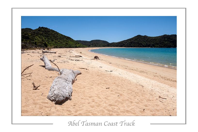 Abel Tasman Coast Track. von Richard Wareham