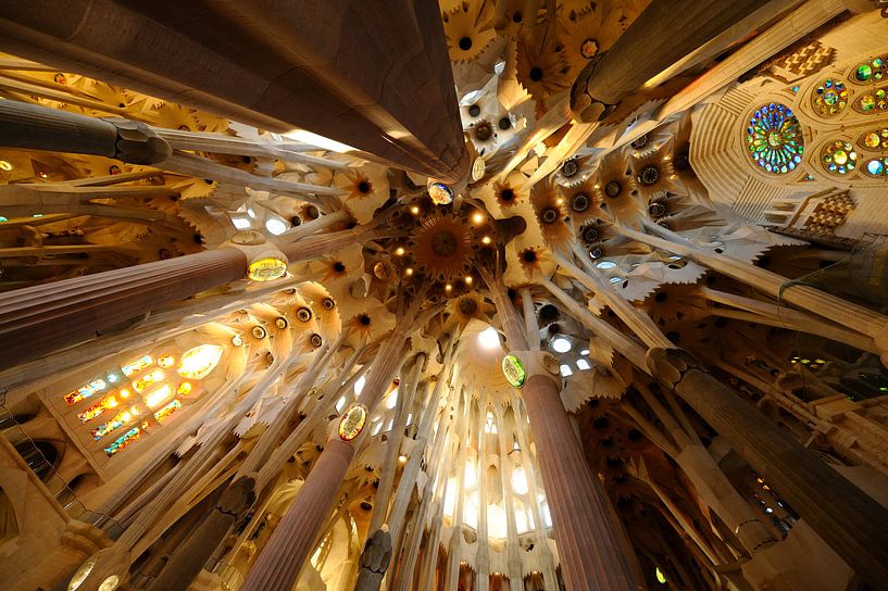 The Sagrada Familia in Barcelona (1) by Merijn van der Vliet