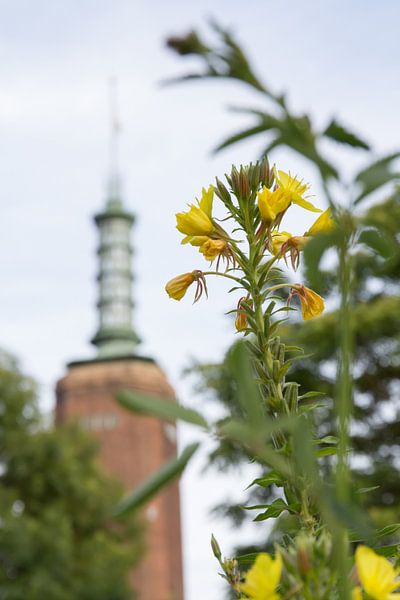 Natuur in de stad von Peter Dane
