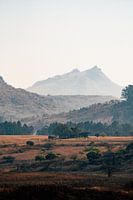 Mlilwane Wildlife Sanctuary Landscape eSwatini Africa