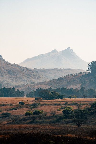 Mlilwane Wildlife Sanctuary Landschaft eSwatini Afrika von Suzanne Spijkers