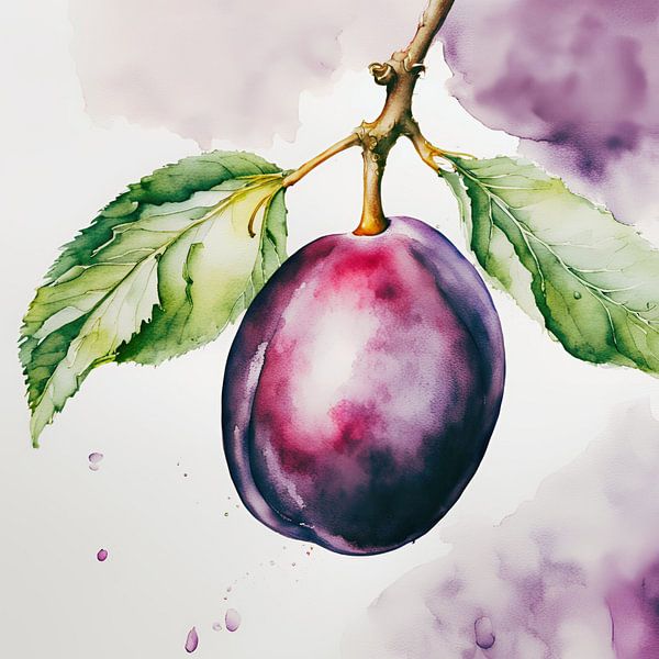 Pflaume, Aquarell, Tinte von Ohkimiko 